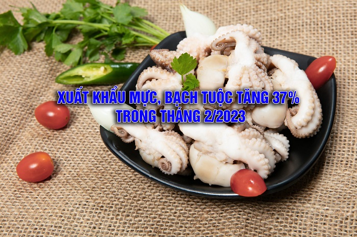 VASEP Highlight - T32023 Xuất khẩu mực, bạch tuộc tăng 37% trong tháng 22023