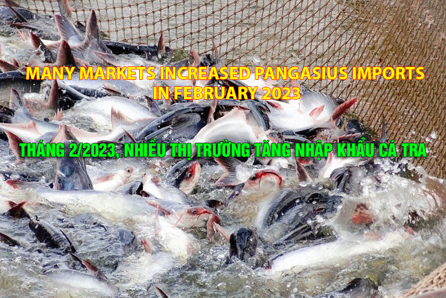 VASEP Highlight - March 2023 Many markets increased pangasius imports in February 2023