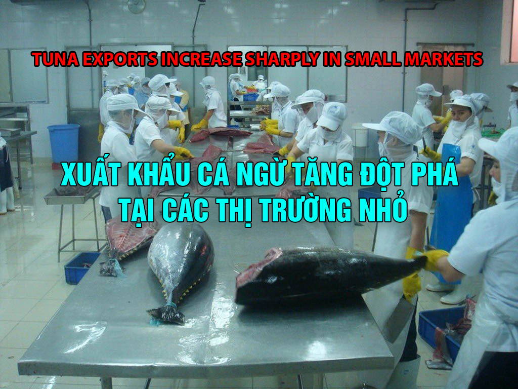 VASEP Highlight - March 2023 Tuna exports increase sharply in small markets