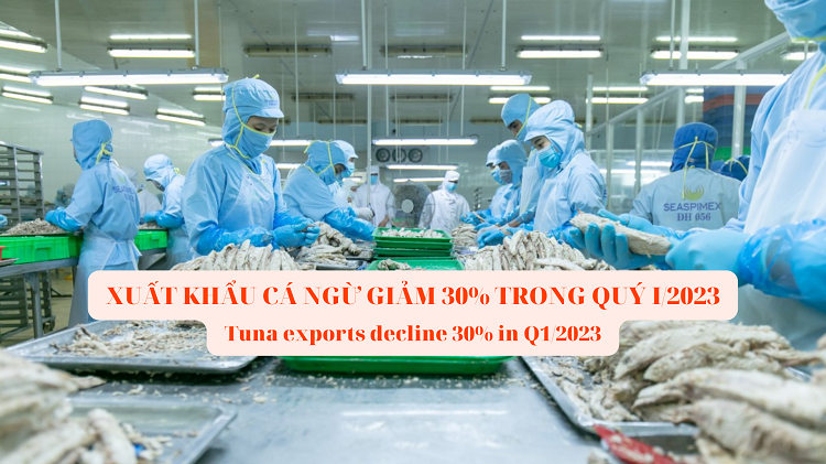VASEP Highlight - April 2023 Vietnam tuna exports decreased by 30% in the first quarter of 2023