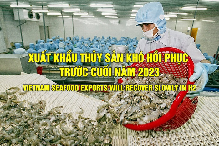 VASEP Highlight - T62023 Xuất khẩu thủy sản khó hồi phục trước cuối năm 2023