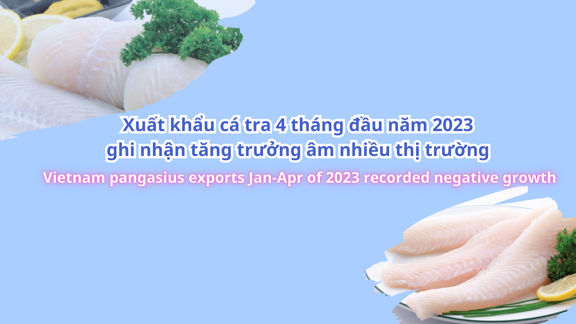 VASEP Highlight - May 2023 Vietnam’s pangasius exports Jan- Apr of 2023 recorded negative growth