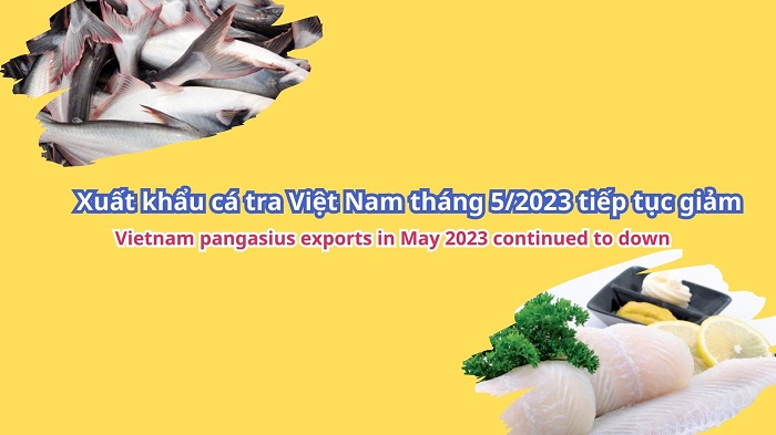 VASEP Highlight - T62023 Xuất khẩu cá tra Việt Nam tháng 52023 tiếp tục giảm