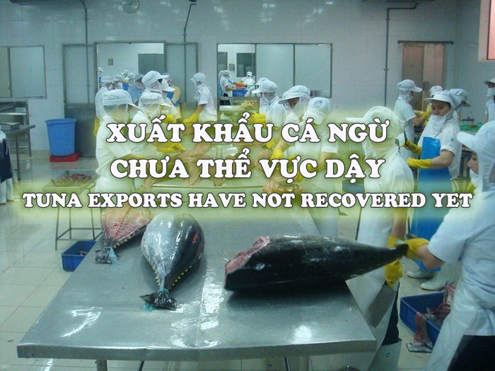 VASEP Highlight - T62023 Xuất khẩu cá ngừ chưa thể vực dậy