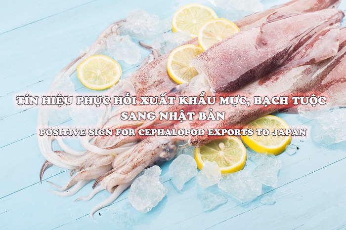 VASEP Highlight - T62023 Tín hiệu phục hồi xuất khẩu mực, bạch tuộc sang Nhật Bản