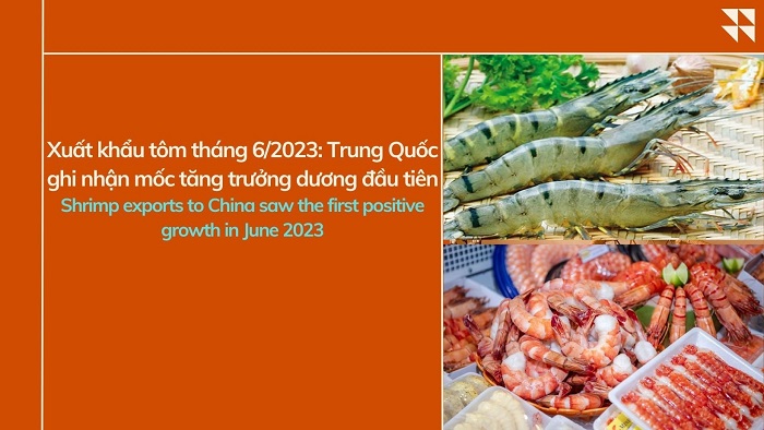 VASEP Highlight - T72023  XK tôm sang Trung Quốc ghi nhận mốc tăng trưởng dương đầu tiên