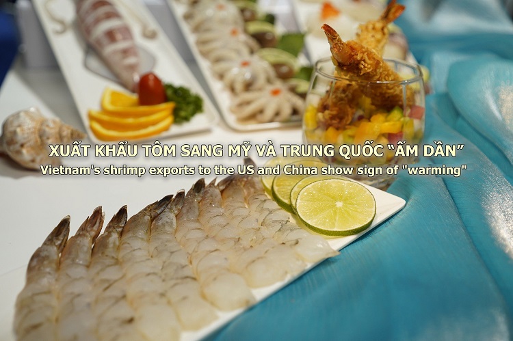 VASEP Highlight - T82023 Xuất khẩu tôm sang Mỹ và Trung Quốc “ấm dần”