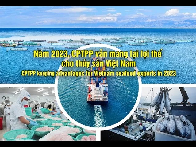 VASEP Highlight - July 2023 CPTPP keeping advantages for Vietnam seafood exports in 2023
