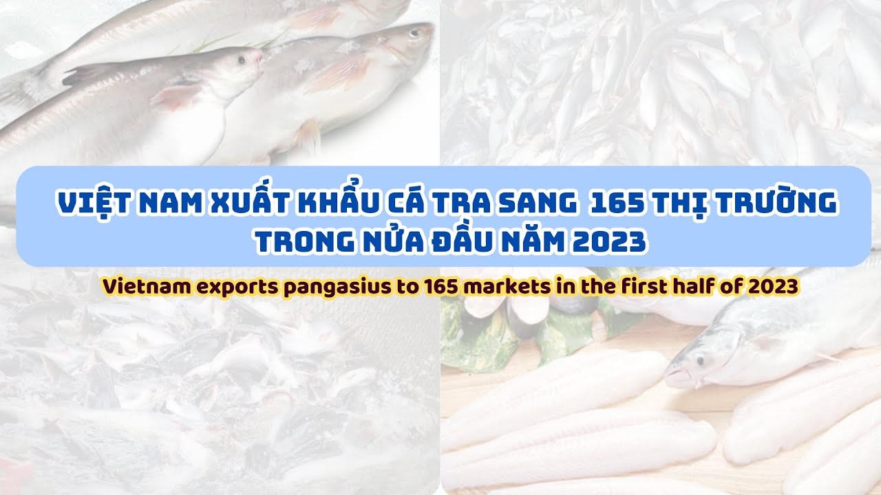 VASEP Highlight - July 2023 Vietnam exports pangasius to 165 markets in the first half of this year