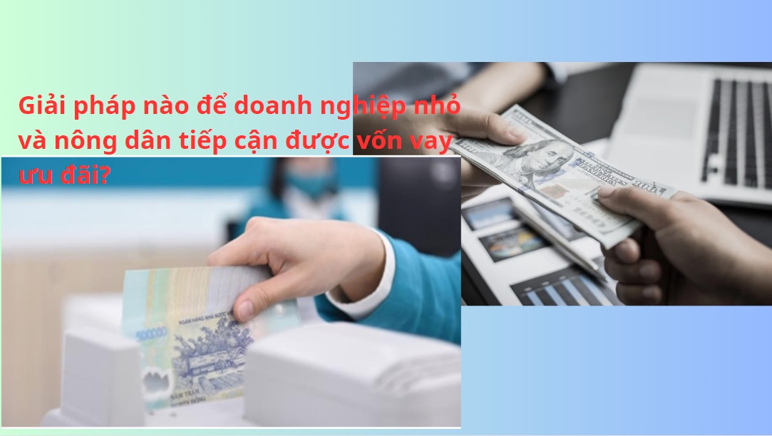 VASEP Highlight - T92023 giải pháp nào để DN nhỏ và hộ nuôi thủy sản được tiếp cận vốn ưu đãi