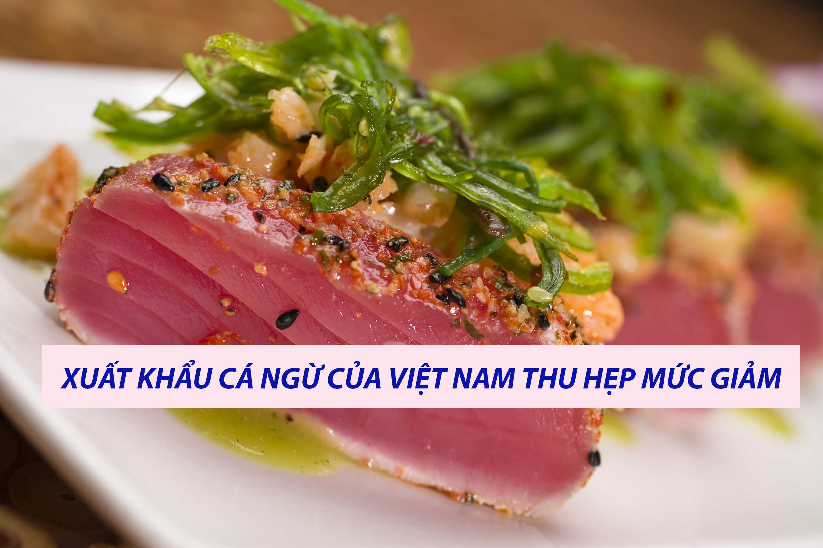 VASEP Highlight - August 2023 Vietnams Tuna Exports Narrowed the Decline