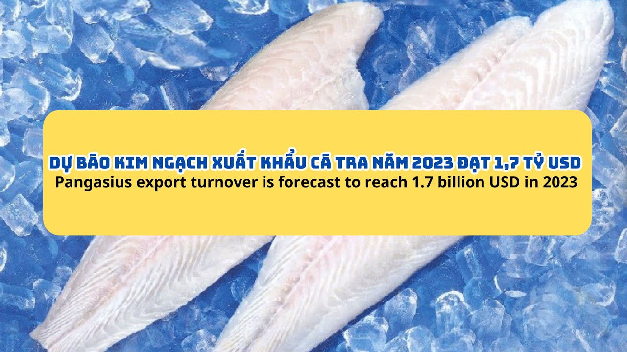 VASEP Highlight - August 2023 Vietnam’s pangasius export turnover is forecast to reach 1.7 billion USD in 2023