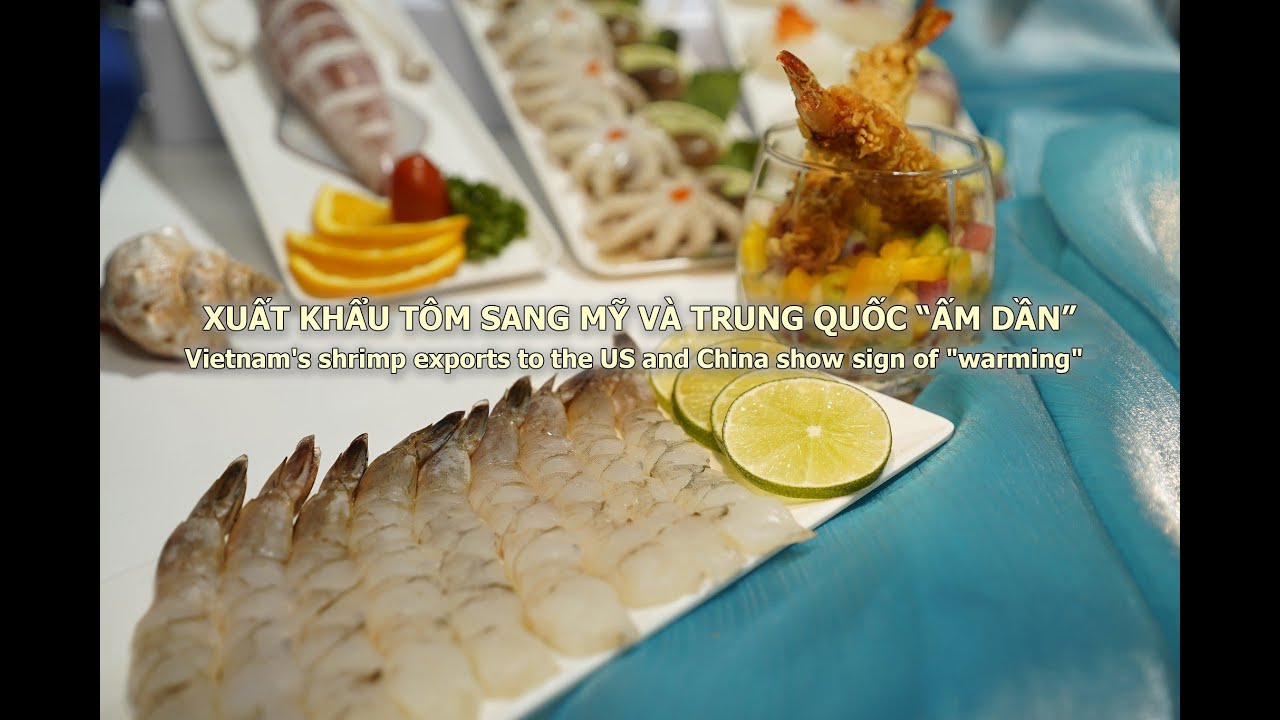 VASEP Highlight - August 2023 Vietnam’s shrimp exports to the US and China showed signs of “warming