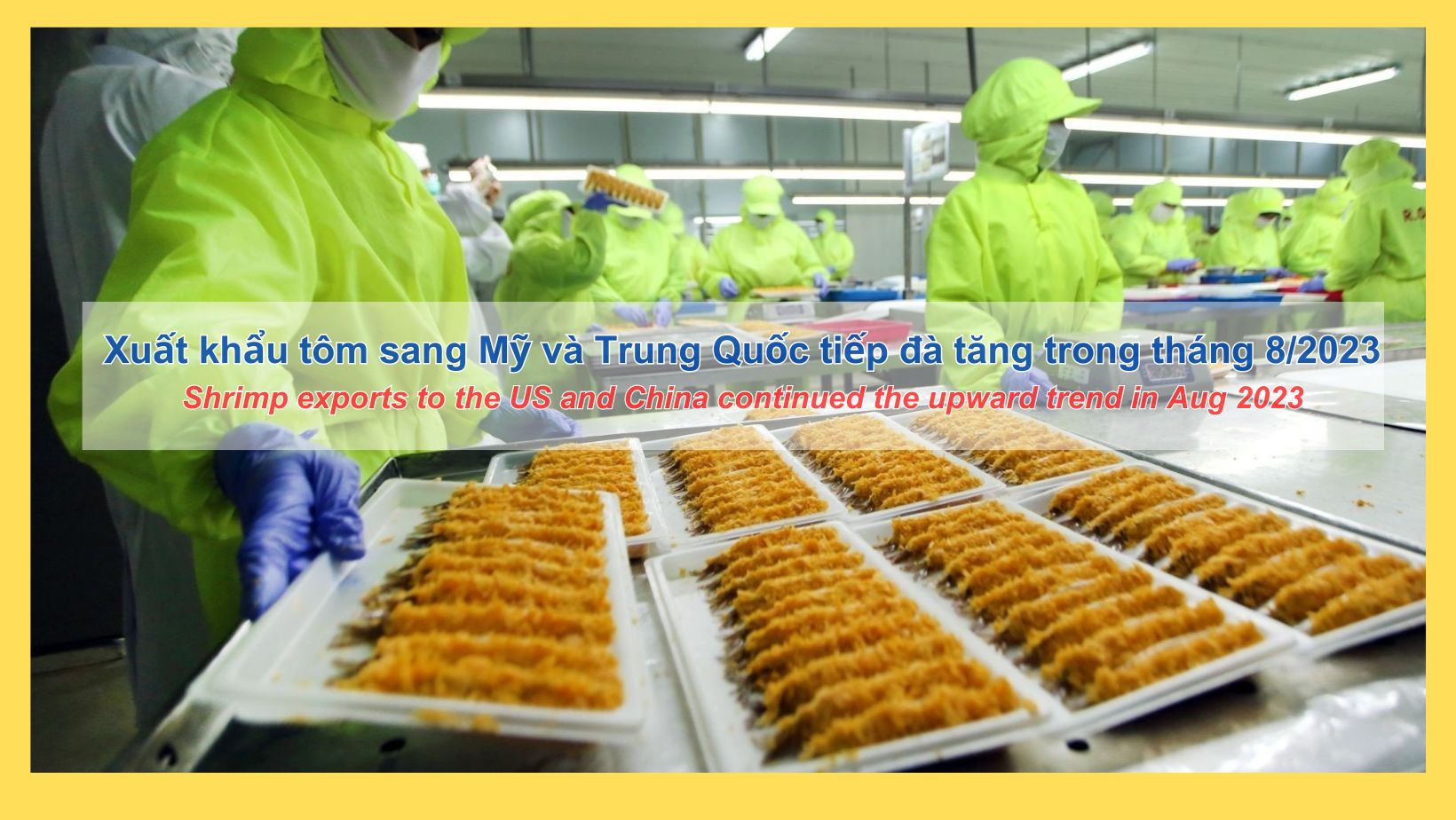 VASEP Highlight September 2023 Vietnam’s shrimp exports to the US and China continued the upward trend in Aug 2023