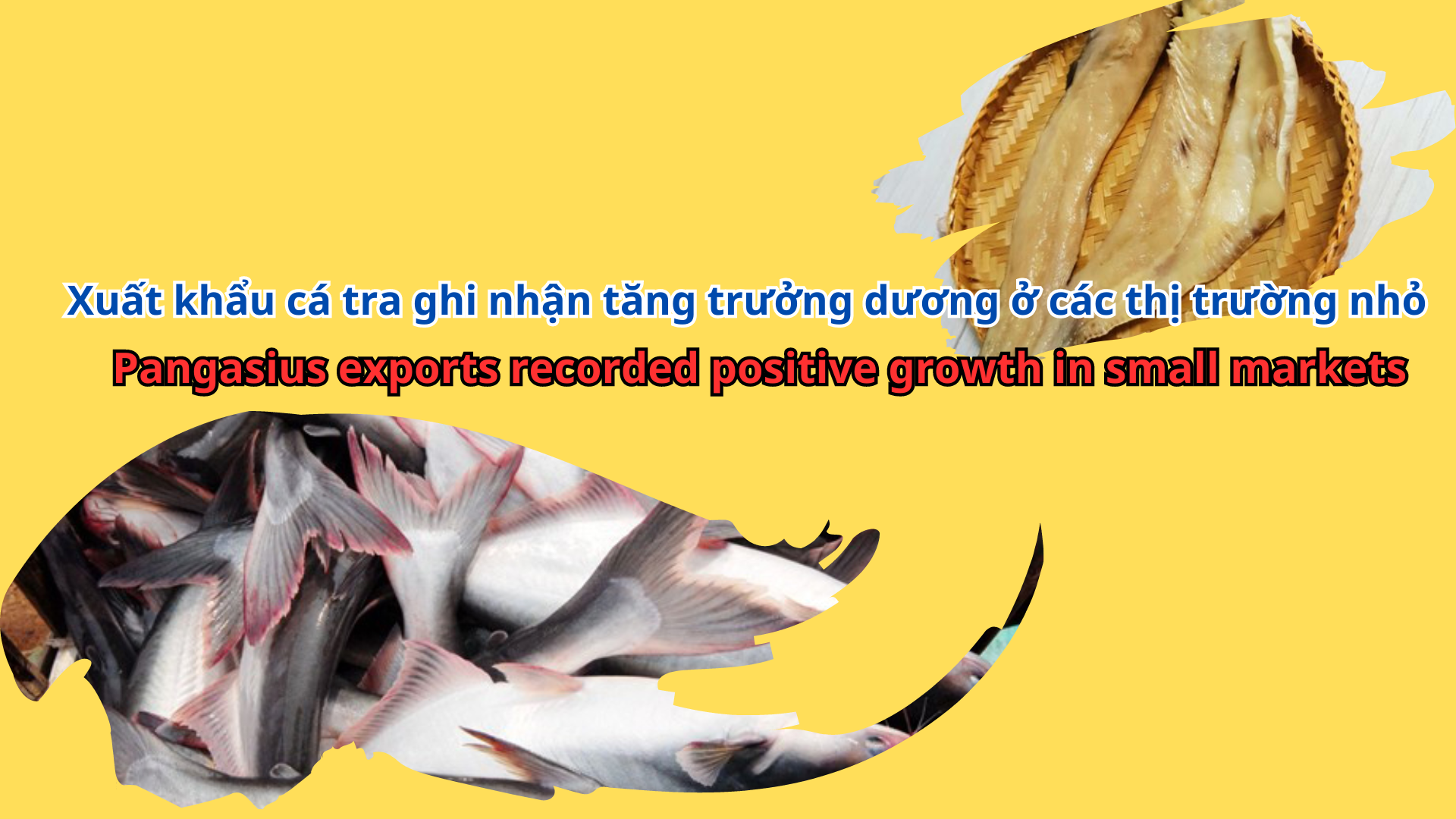 VASEP Highlight - September 2023 Vietnam’s pangasius exports recorded positive growth in small markets