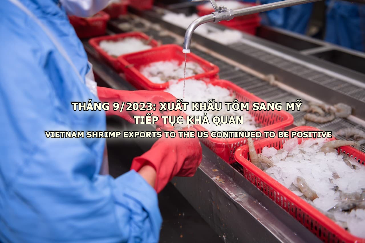 VASEP Highlight - T102023 Xuất khẩu tôm sang Mỹ tiếp tục khả quan trong tháng 92023