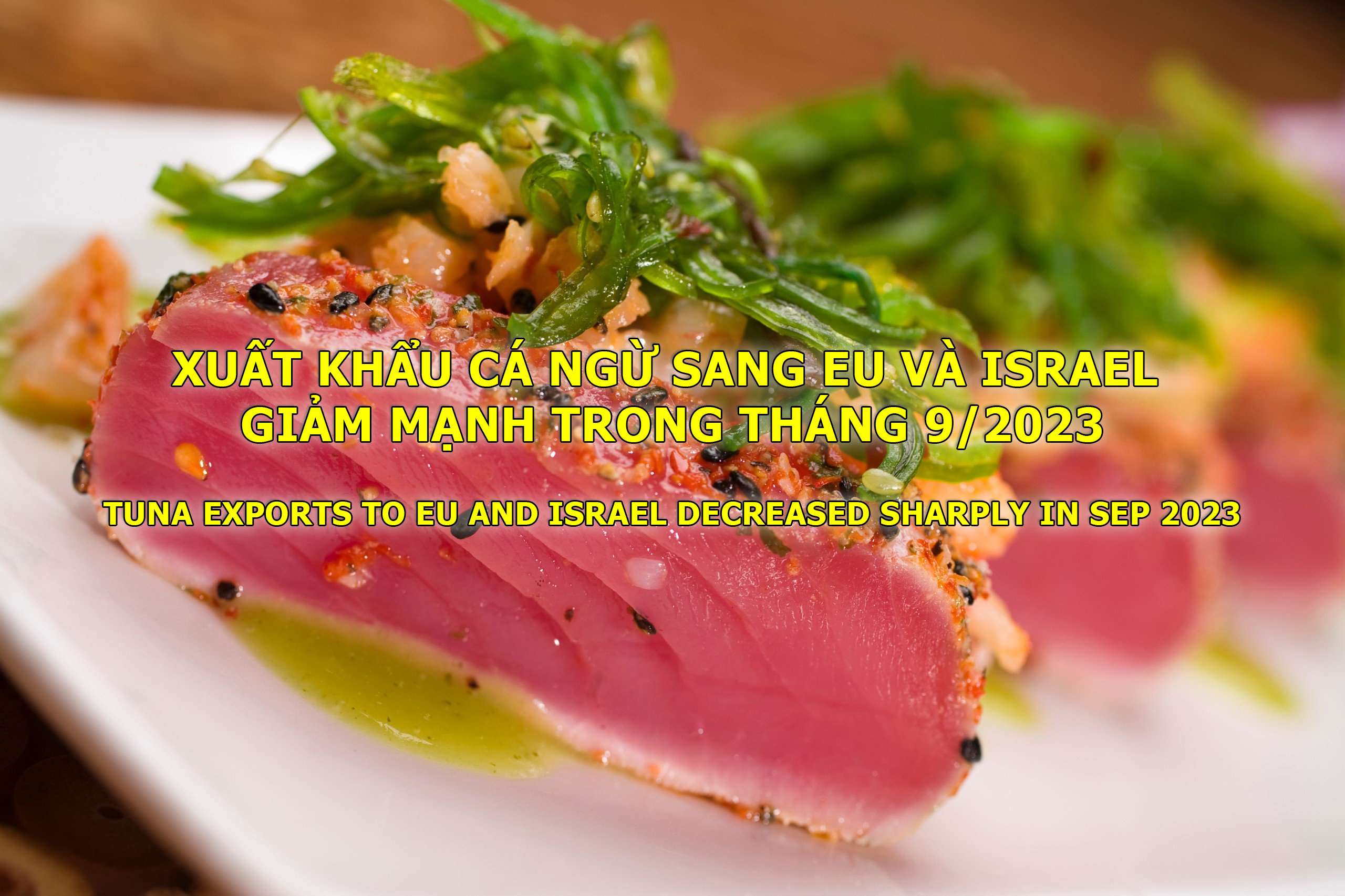 VASEP Highlight - T102023 Xuất khẩu cá ngừ sang EU và Israel giảm mạnh trong tháng 92023