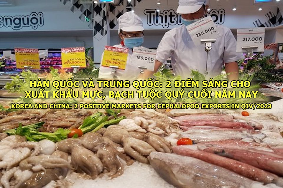 VASEP Highlight - T102023 Hàn Quốc  Trung Quốc 2 điểm sáng cho XK mực, bạch tuộc quý cuối năm nay