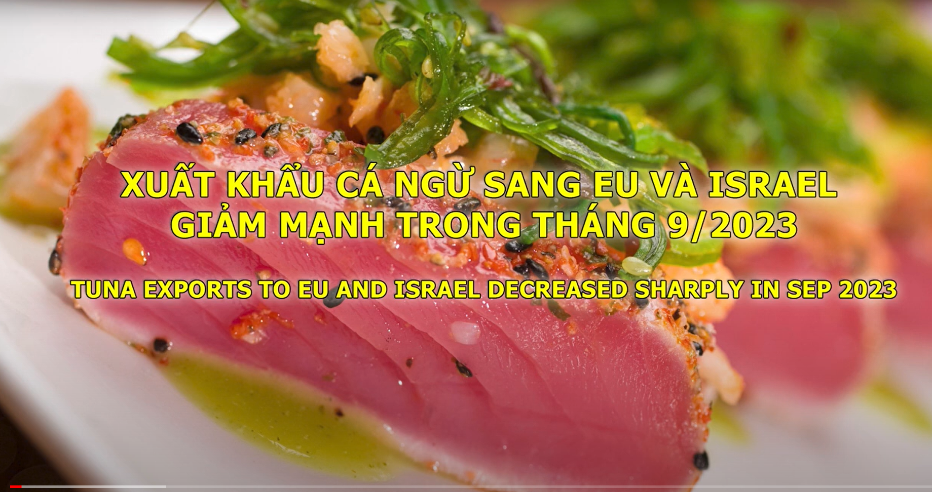 VASEP Highlight - Nov. 2023 Tuna exports to the EU and Israel fell sharply in September 2023