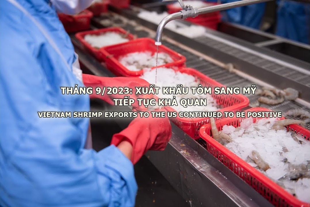 VASEP Highlight - Nov. 2023 Vietnam shrimp exports to the US continue to be positive