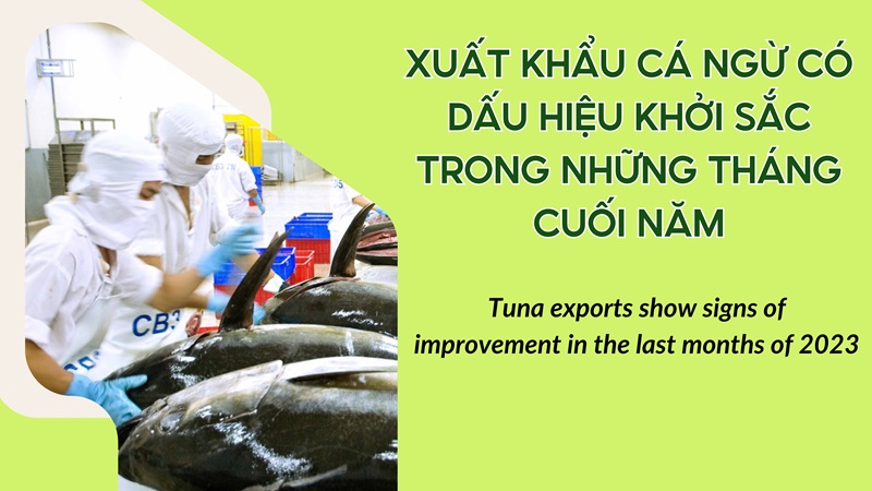 VASEP Highlight - Nov. 2023 Tuna exports showed signs of improvement in the last months of 2023