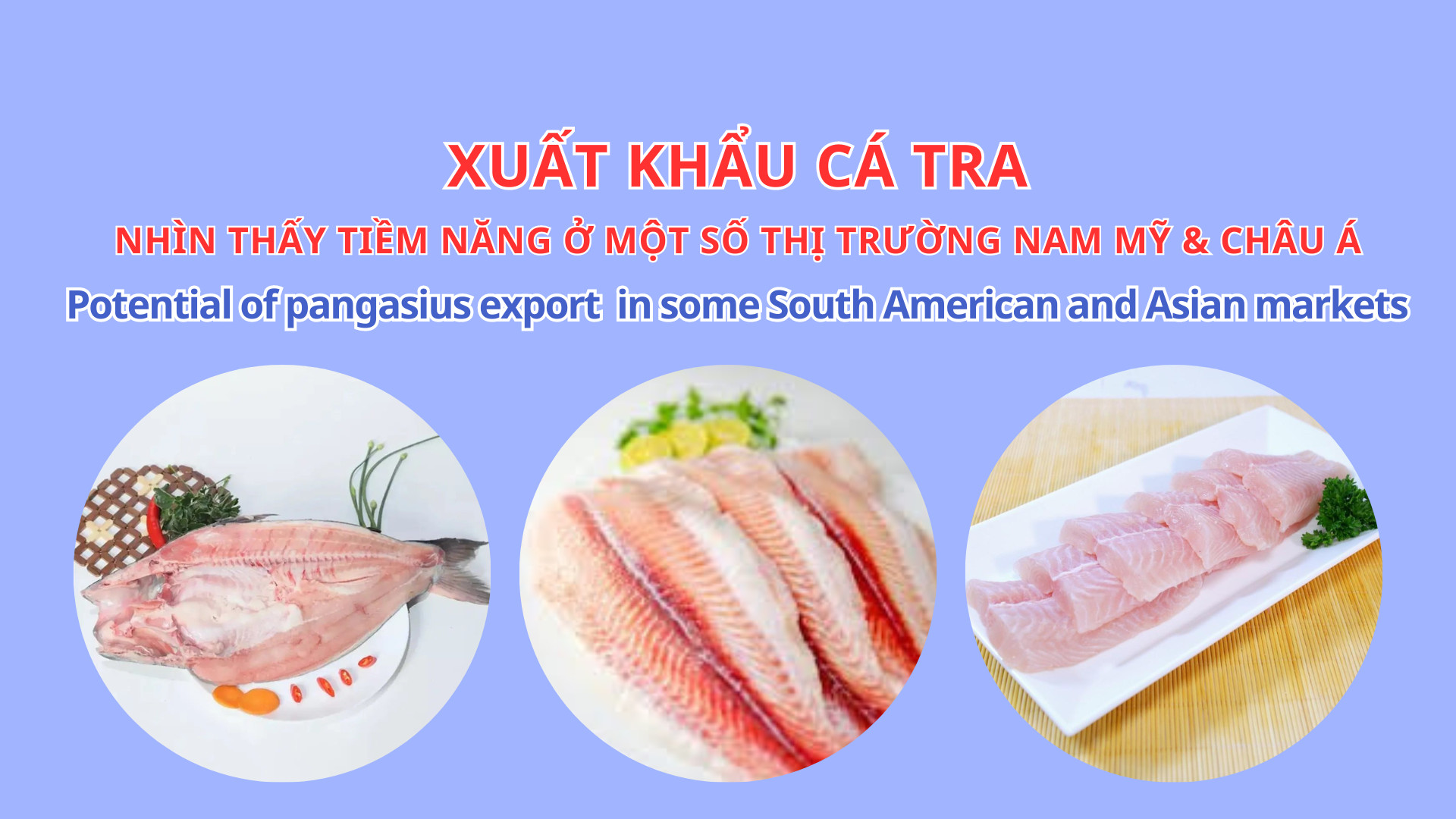 VASEP Highlight - Nov. 2023 Pangasius exports see potential in some South American and Asian markets