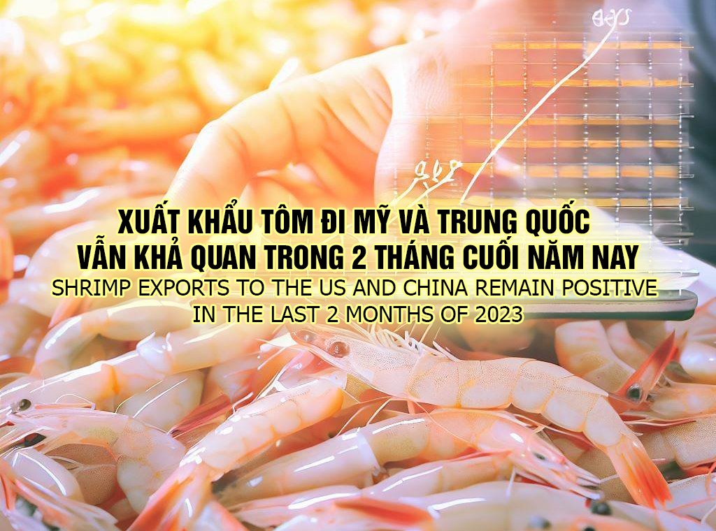 VASEP Highlight - Nov. 2023 Shrimp exports to the US and China remained positive in the last 2 months of this year
