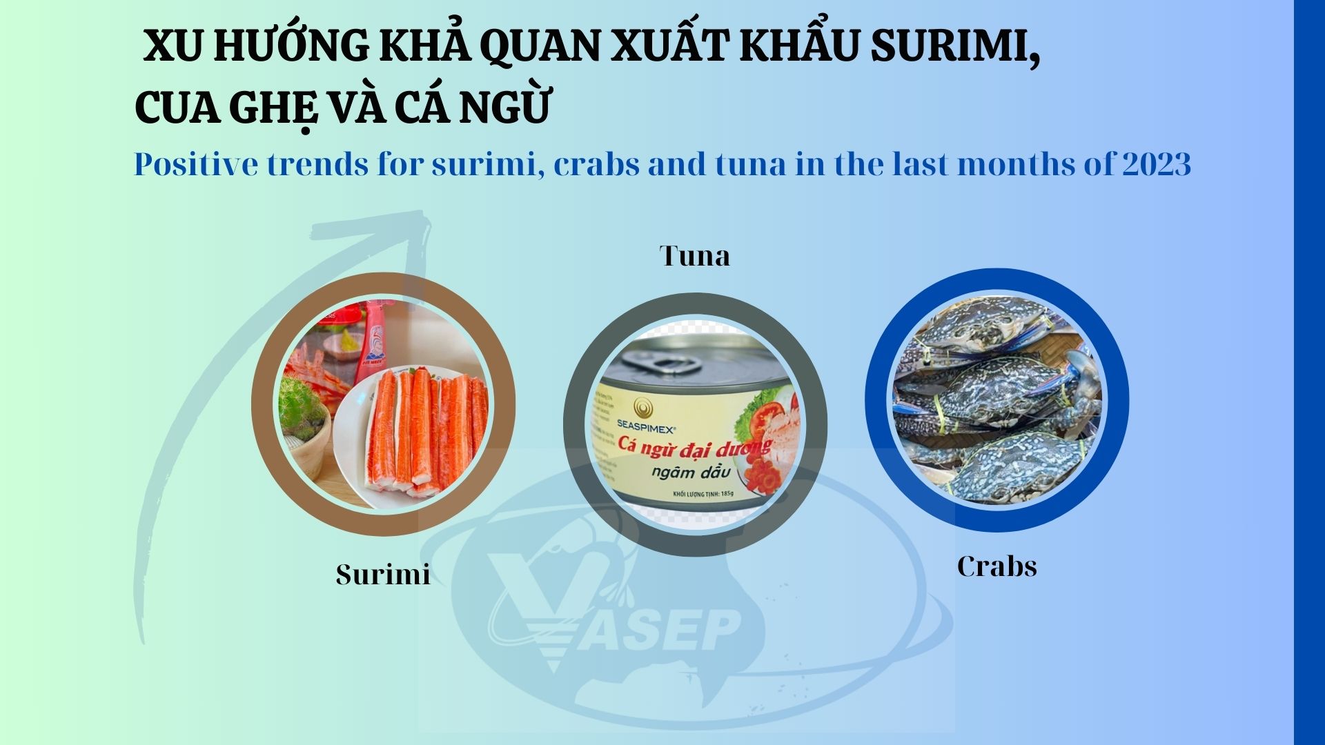 VASEP Highlight - T122023 Xu hướng khả quan cho surimi, cua ghẹ, cá ngừ những tháng cuối năm 2023