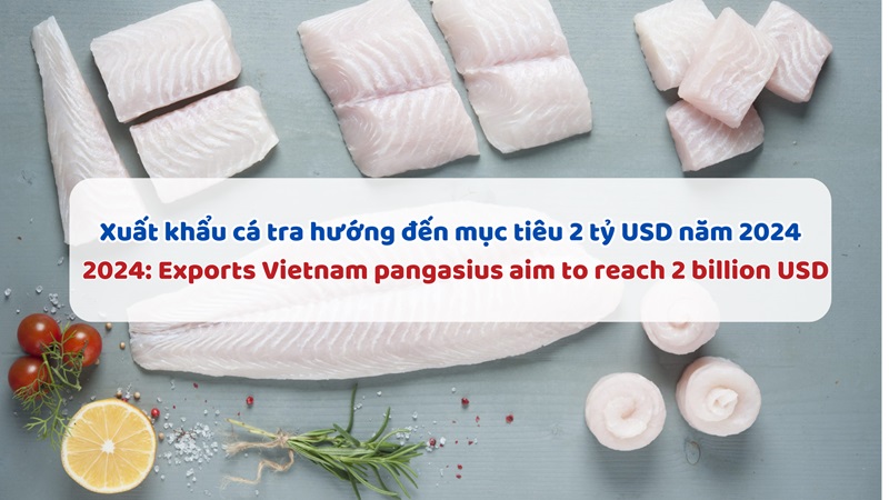 VASEP Highlight - T12024 Cá tra