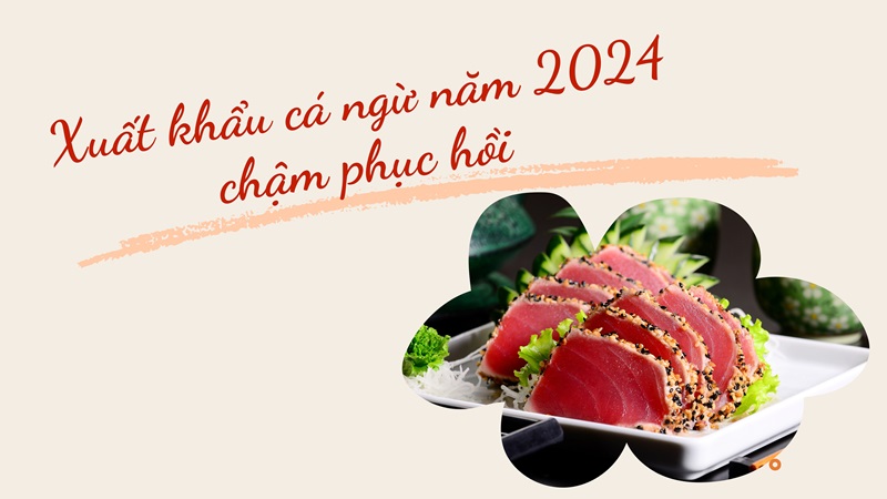 VASEP Highlight - T12024 cá ngừ