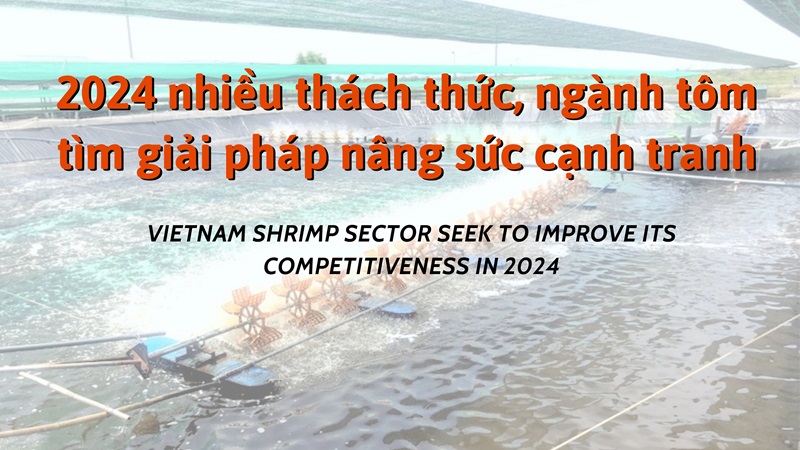 VASEP Highlight - T12024 Tôm