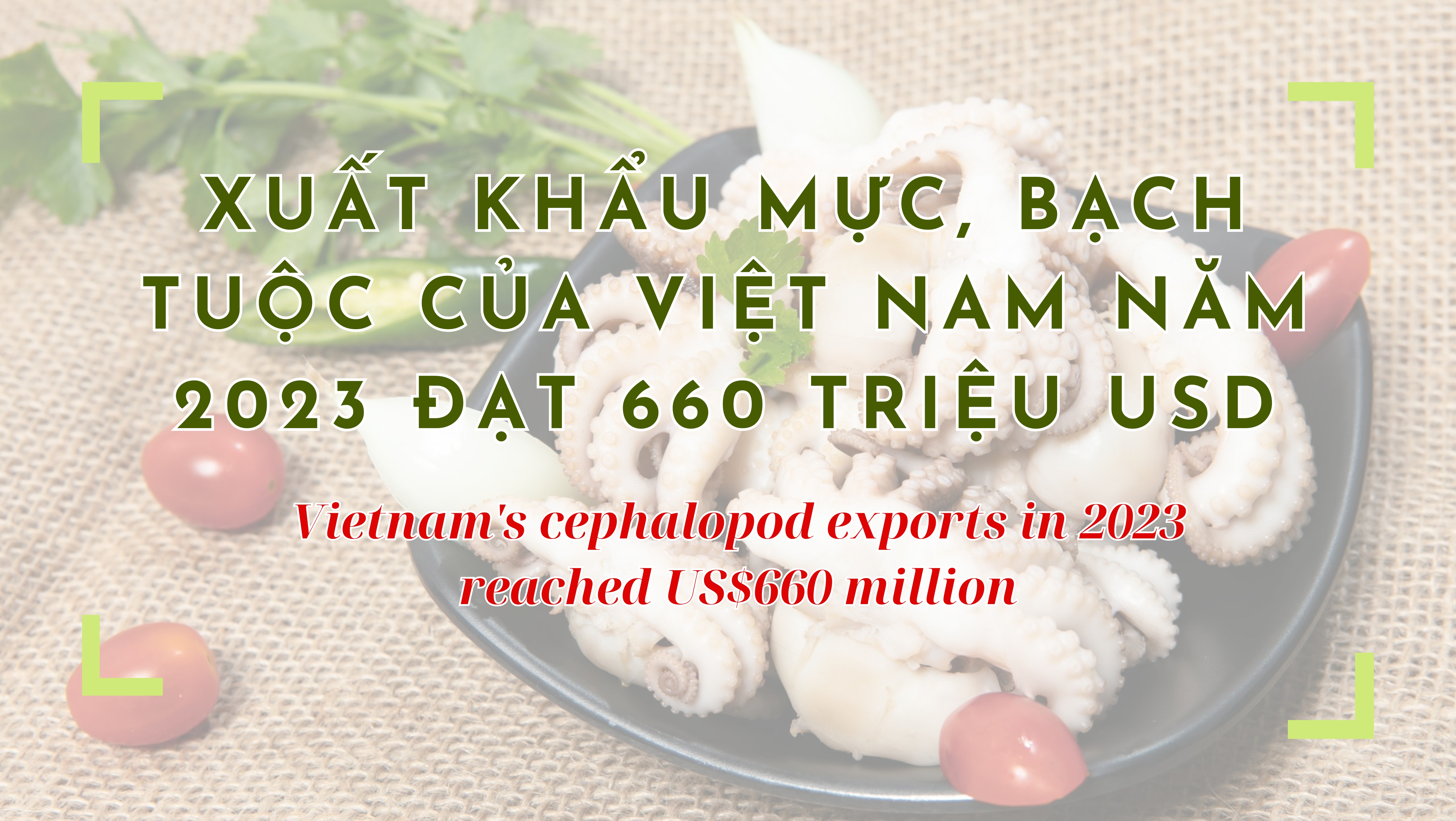VASEP Highlight - T12024 Mực và Bạch tuộc