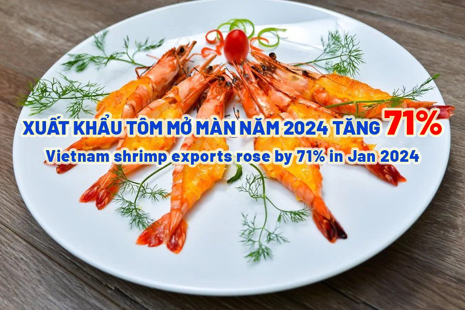 VASEP Highlight - Feb. 2024 Shrimp