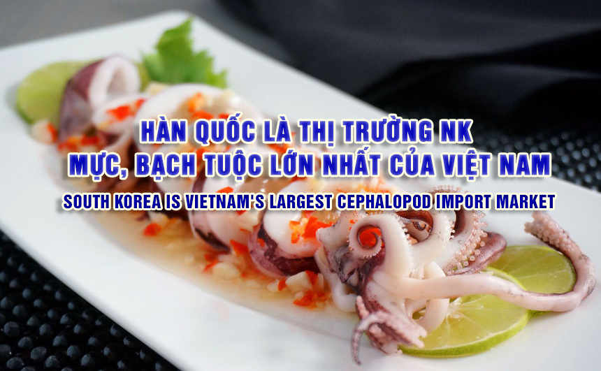 VASEP Highlight - T32024 Mực và Bạch Tuộc