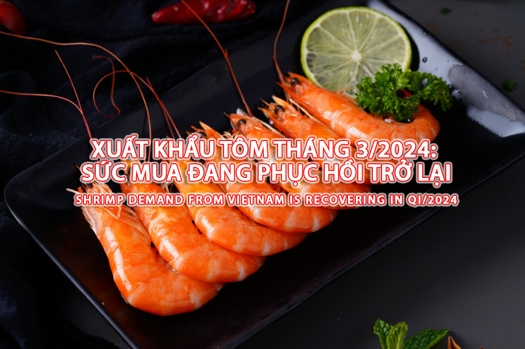 VASEP Highlight - April 2024 Shrimp