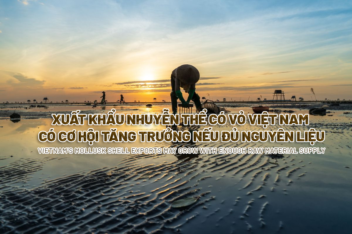 VASEP Highlight - T52024 Nhuyễn thể có vỏ