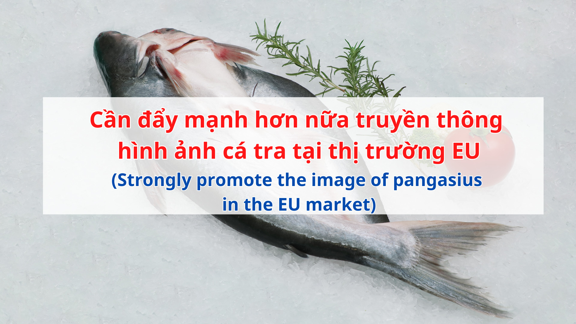 VASEP Highlight - T5 2024 Cá tra