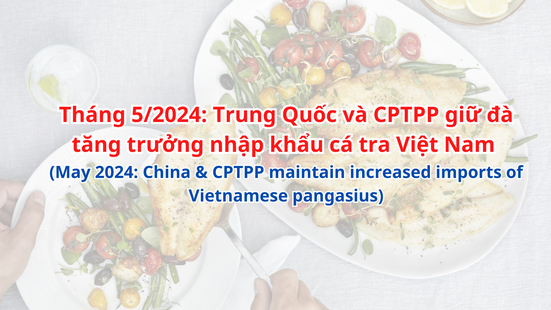 VASEP Highlight - T62024 Cá tra