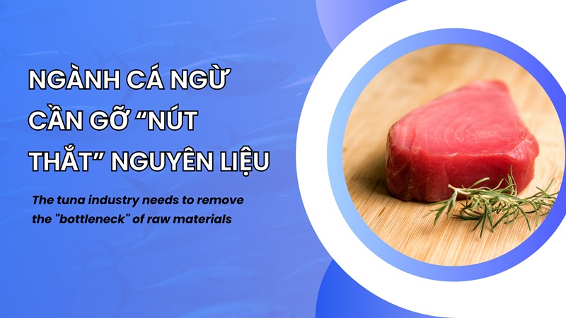 VASEP Highlight - T62024 Cá Ngừ