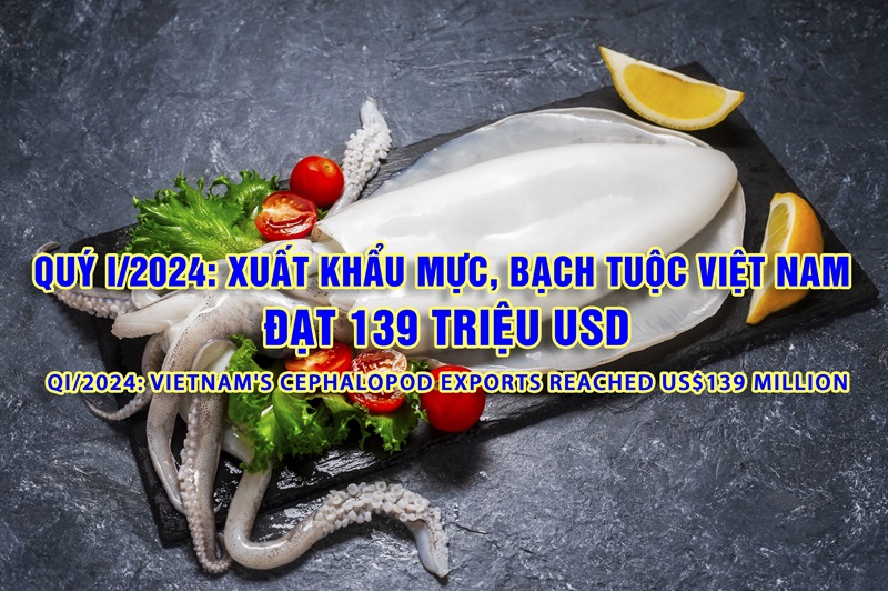 VASEP Highlight - April. 2024 Cephalopod