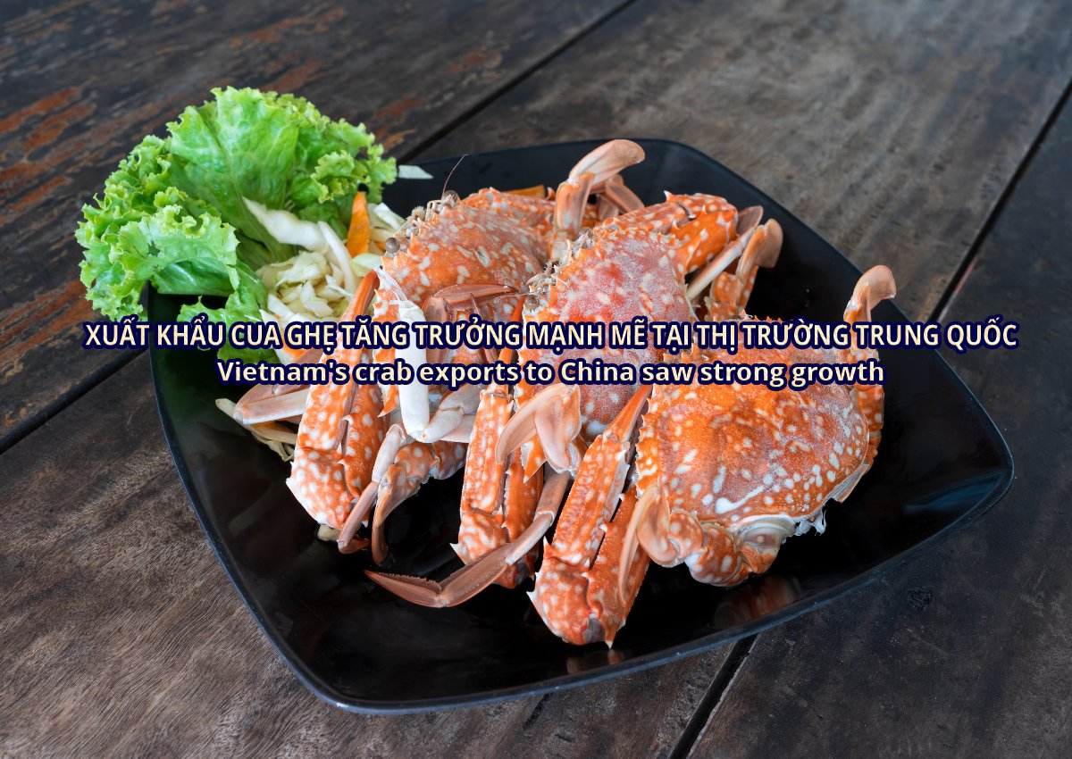 VASEP Highlight - T72024 Cua ghẹ và giáp xác khác