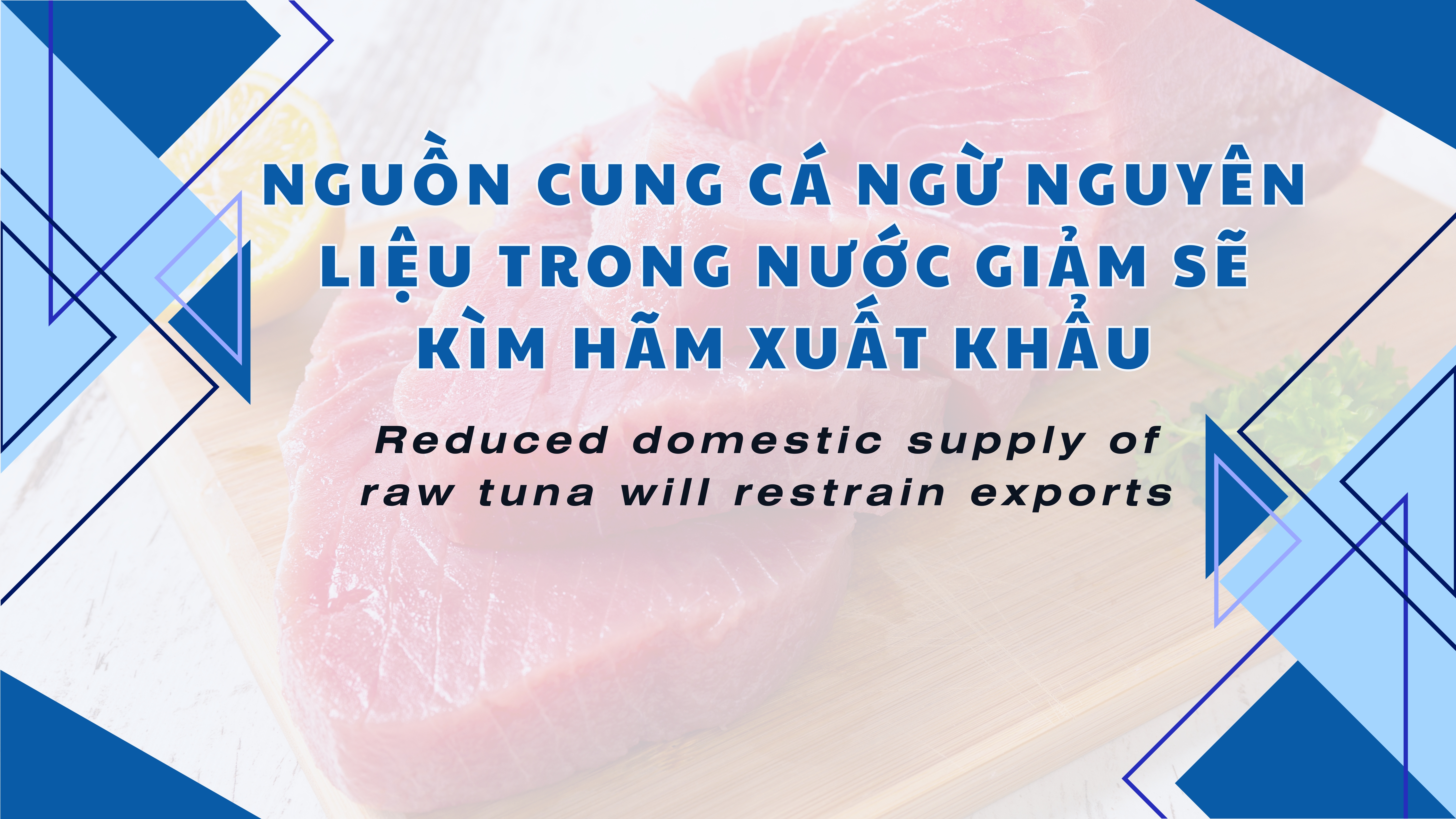 VASEP Highlight - T72024 Cá ngừ