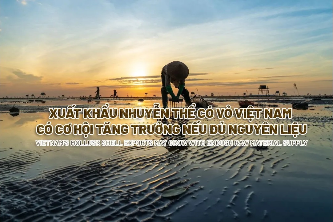 VASEP Highlight - May. 2024 Bivalve