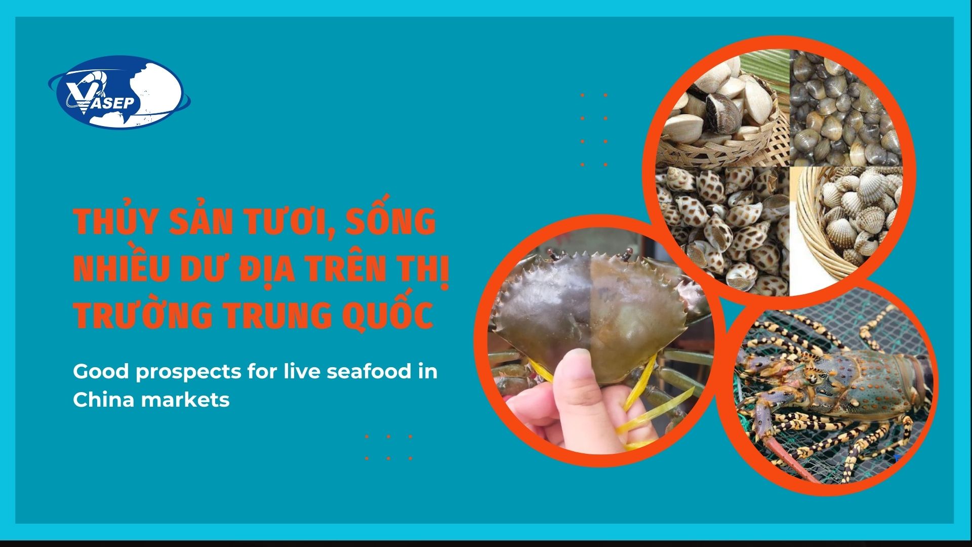 VASEP Highlight - Jul. 2024 Seafood