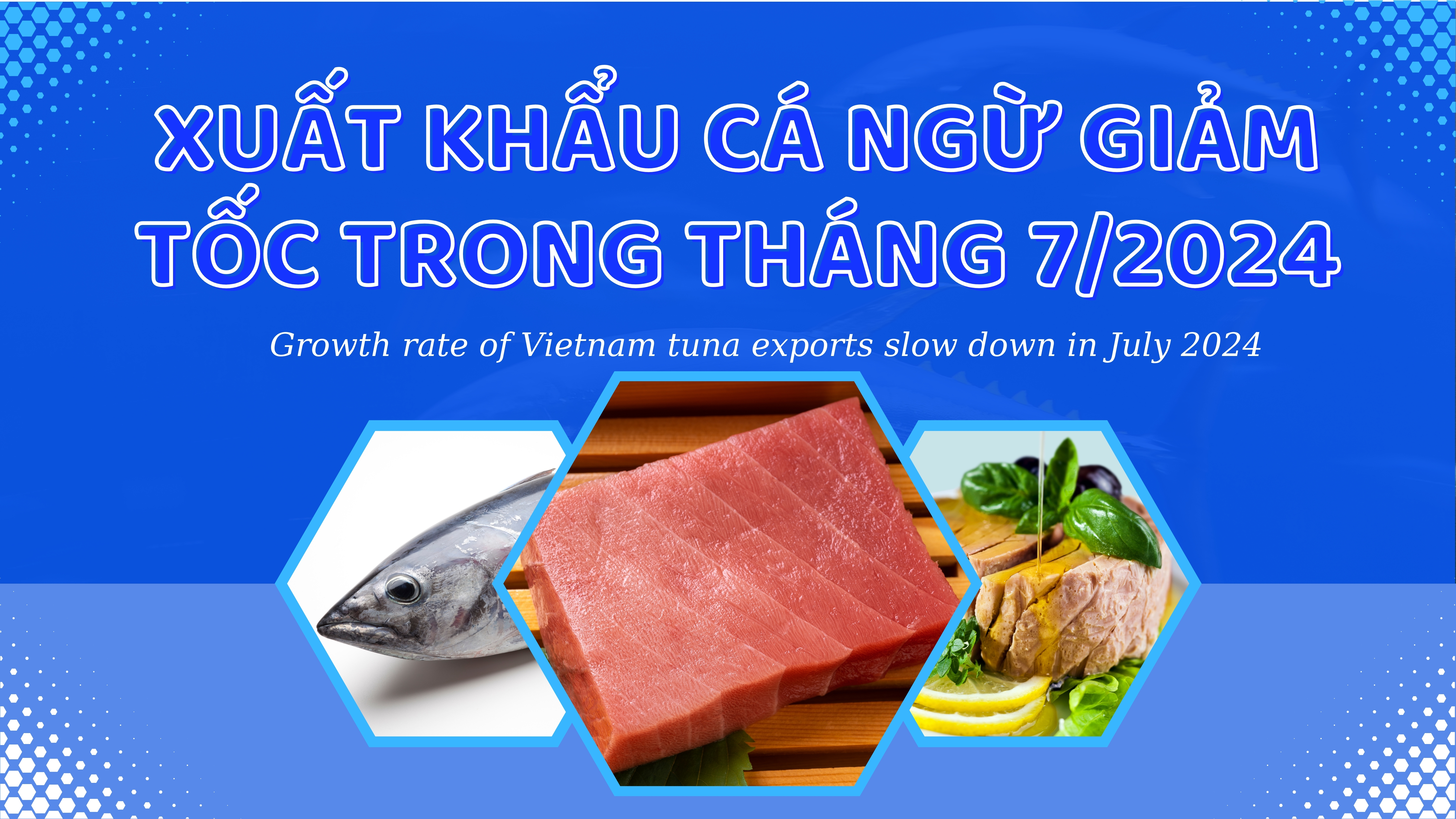 VASEP Highlight - Aug.2024 Tuna