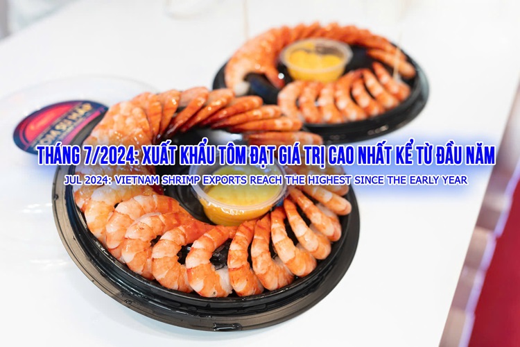 VASEP Highlight - Aug.2024 Shrimp