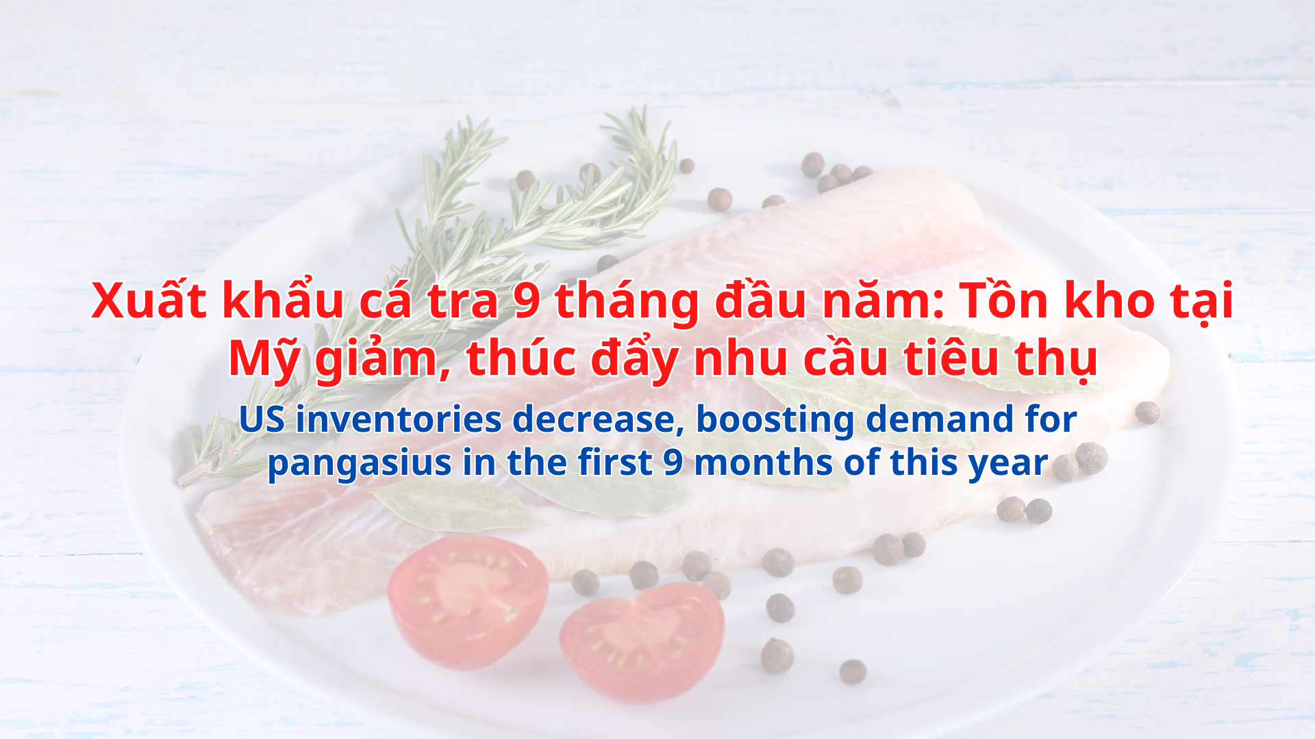 VASEP Highlight - T102024 Cá tra