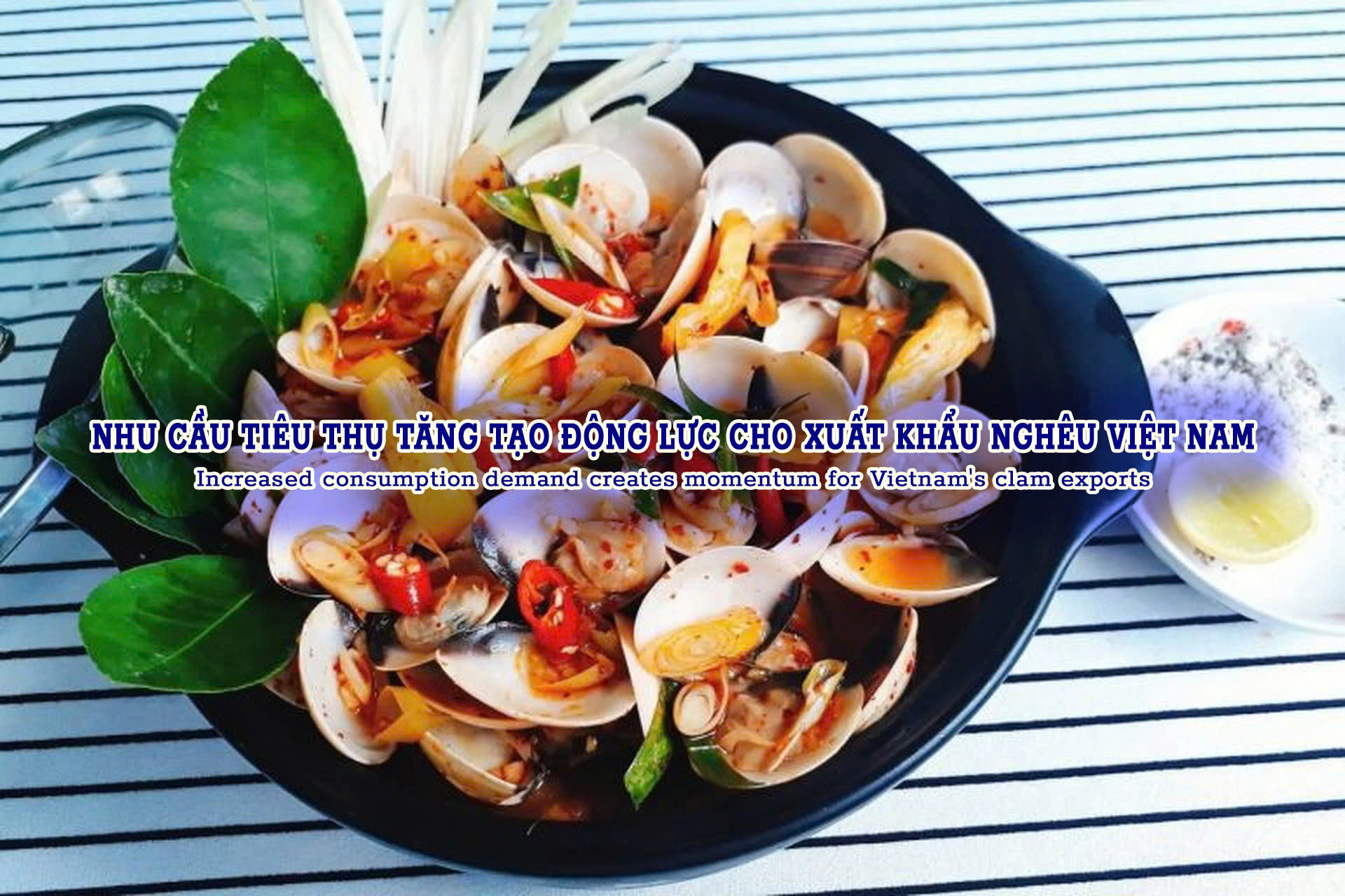 VASEP Highlight - T102024 Nghêu