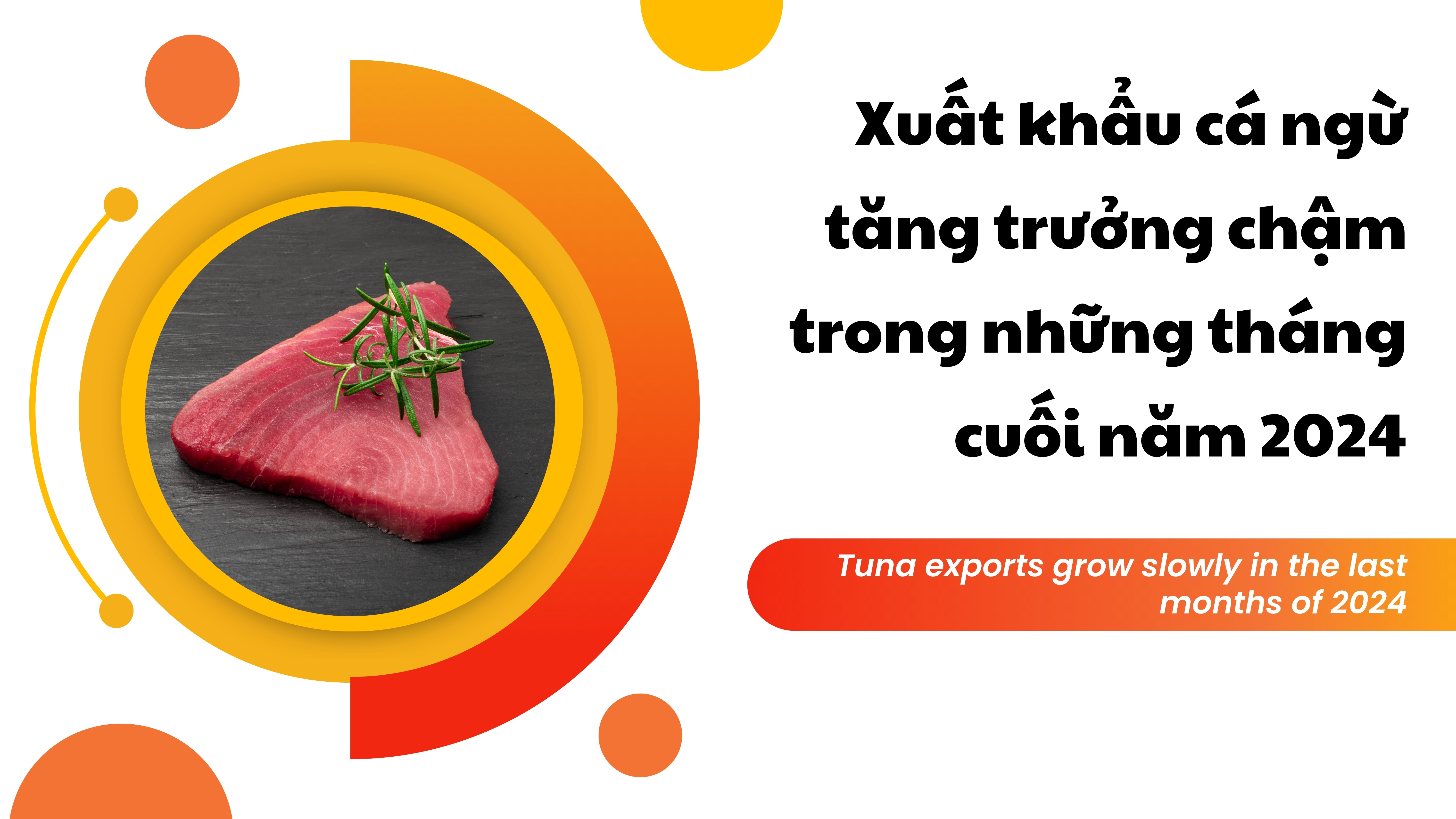 VASEP Highlight - T102024 Cá ngừ