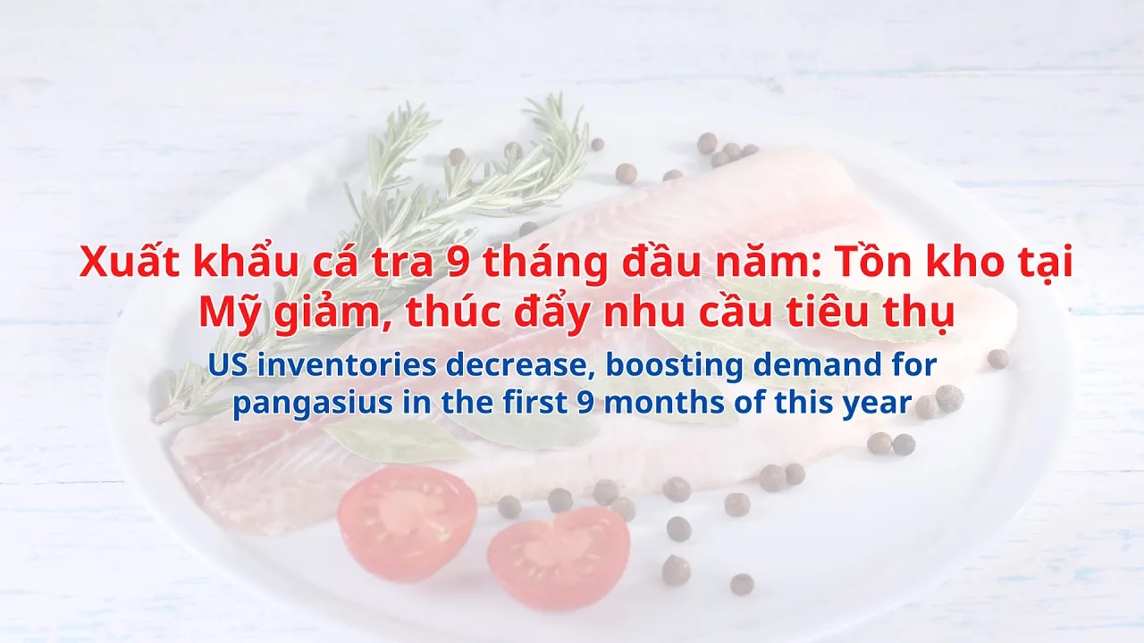 VASEP Highlight - Oct. 2024 Pangasius